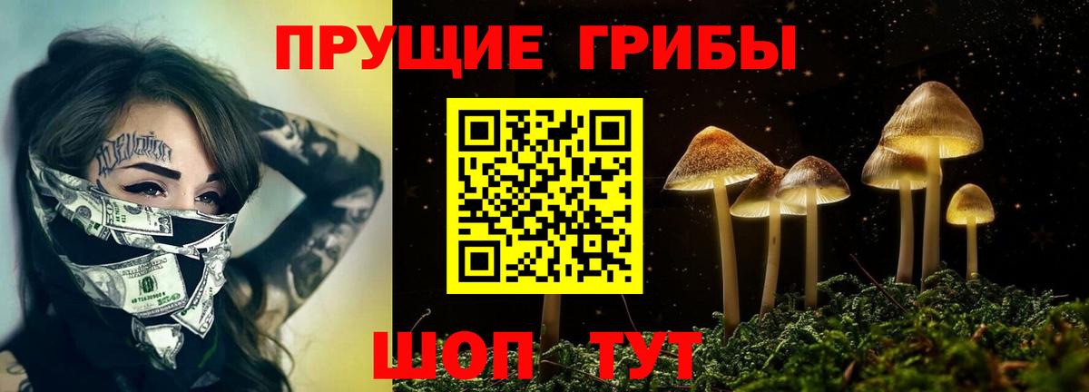 Тобольск  Галлюциногенные грибы Psilocybine cubensis  Вход с VPN 