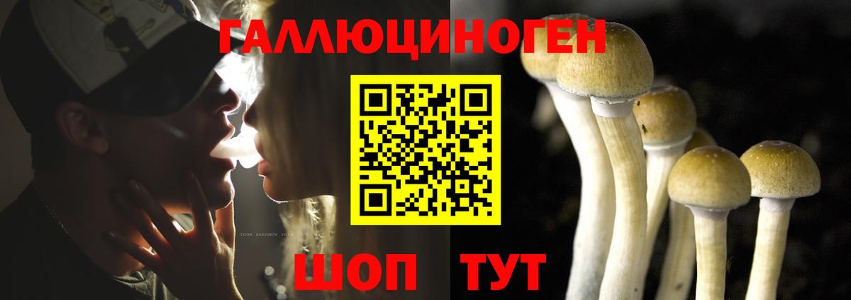 Галлюциногенные грибы Magic Shrooms Тобольск
